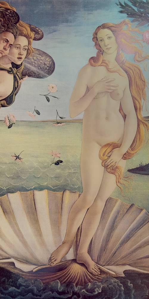 THE BIRTH OF VENUS 1m x 2m high